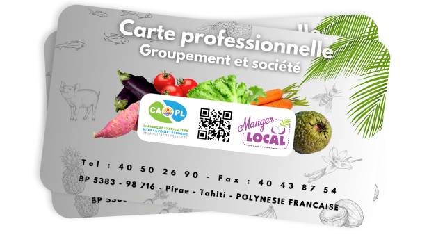 La carte professionnelle Groupement et société