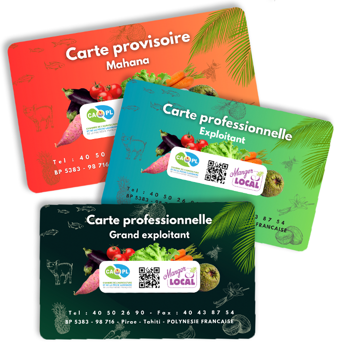 Les 3 cartes CAPL