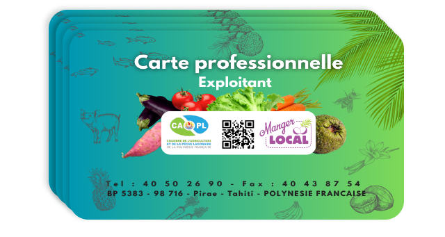 Carte professionnelle exploitant