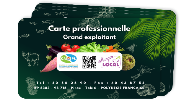 Carte professionnelle Grand Exploitant