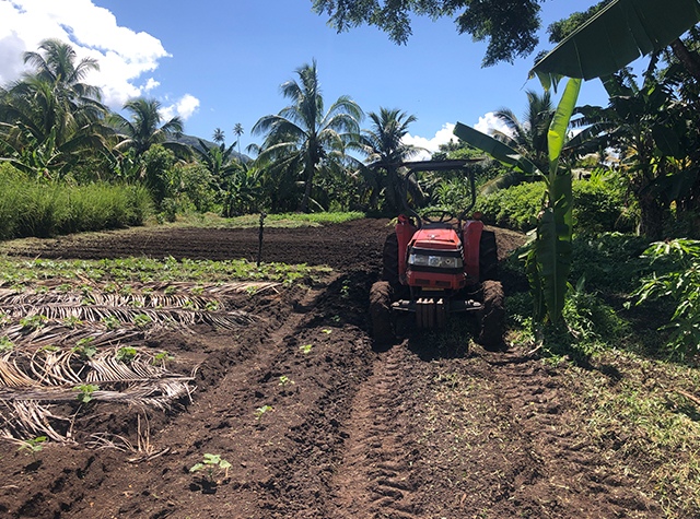 Activité agricole