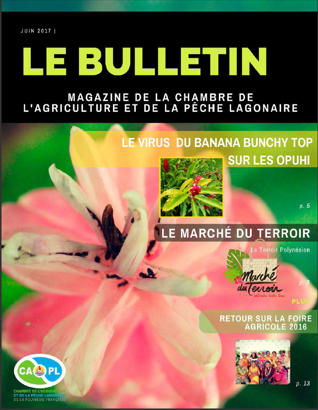 Bulletin Juin 2017