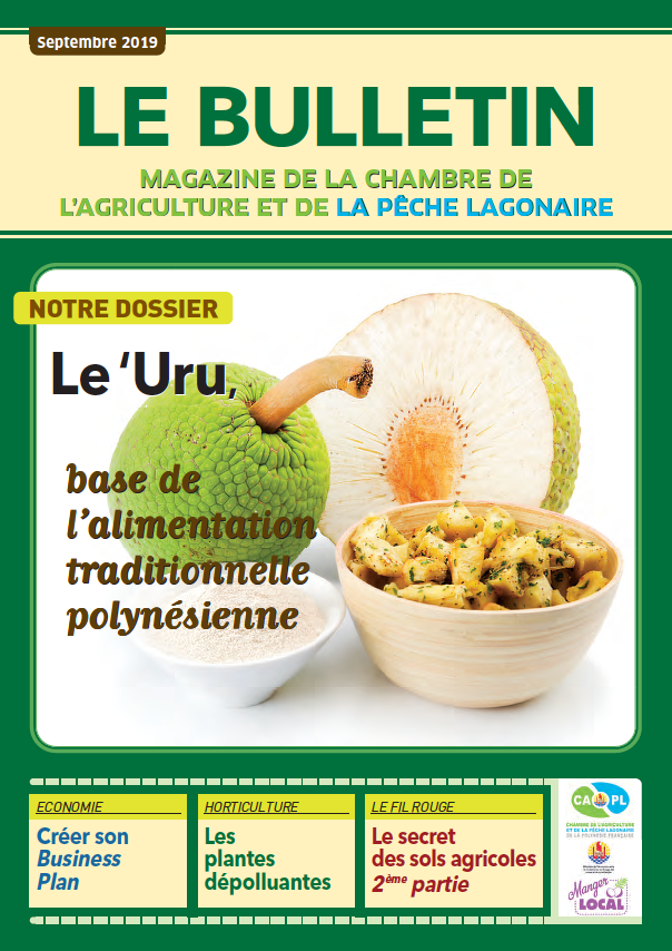 Bulletin Septembre 2019