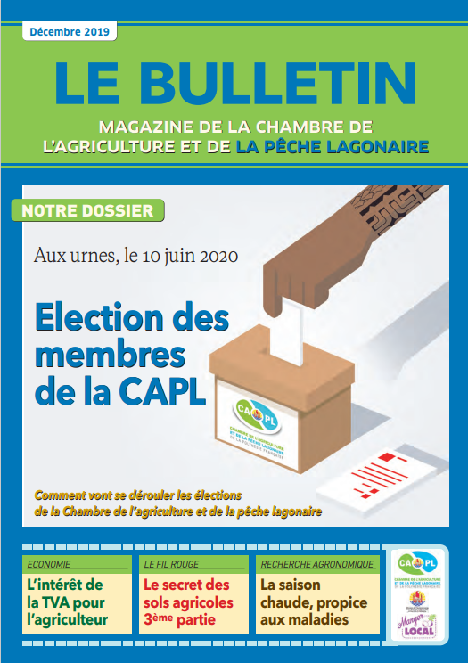 Bulletin Décembre 2019