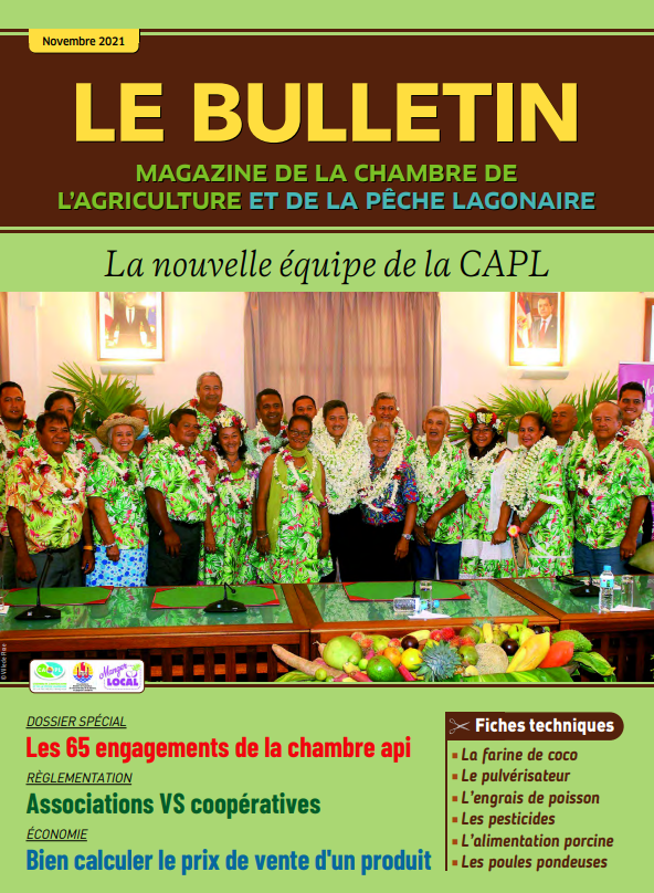 Bulletin Novembre 2021