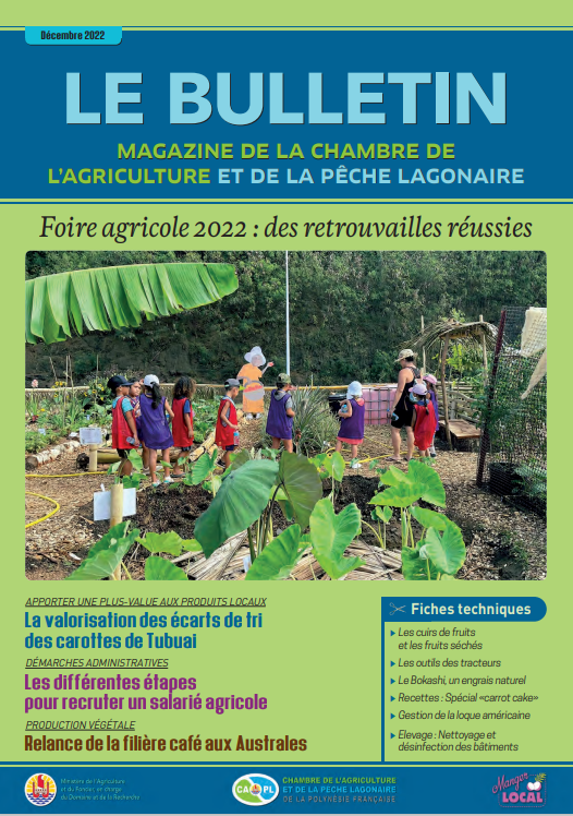 Bulletin Décembre 20222